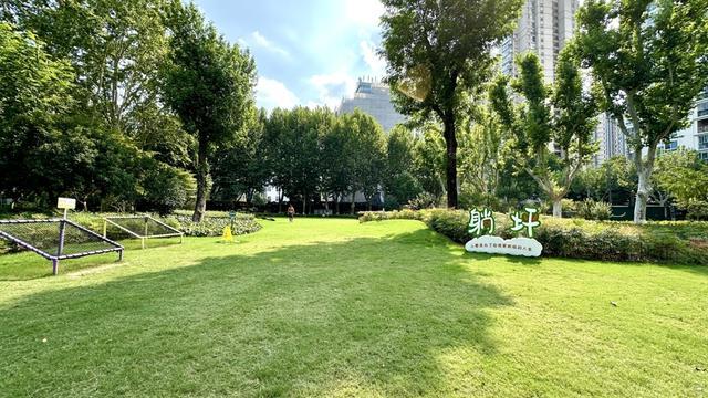 规施行一周“升级版”游园带来哪些“乐与痛”？AG真人澳门百家家乐遛狗、帐篷……上海公园新(图9)