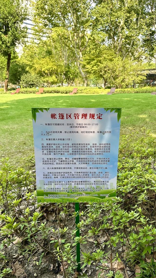 规施行一周“升级版”游园带来哪些“乐与痛”？AG真人澳门百家家乐遛狗、帐篷……上海公园新(图11)