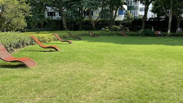 规施行一周“升级版”游园带来哪些“乐与痛”？AG真人澳门百家家乐遛狗、帐篷……上海公园新(图14)