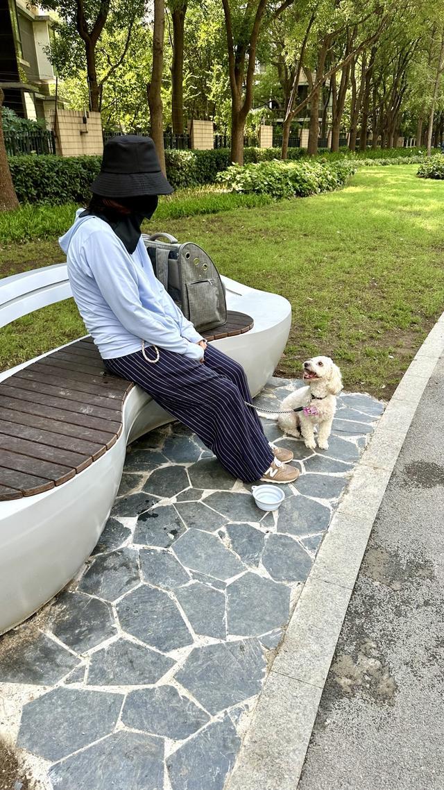规施行一周“升级版”游园带来哪些“乐与痛”？AG真人澳门百家家乐遛狗、帐篷……上海公园新(图18)